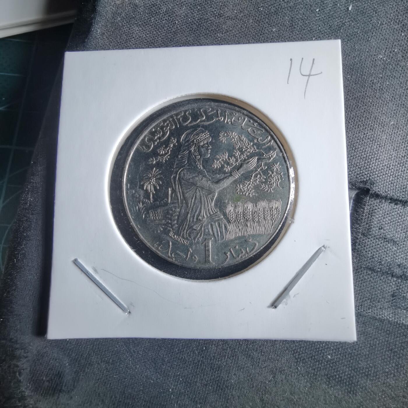 沼泽如烟--第955场