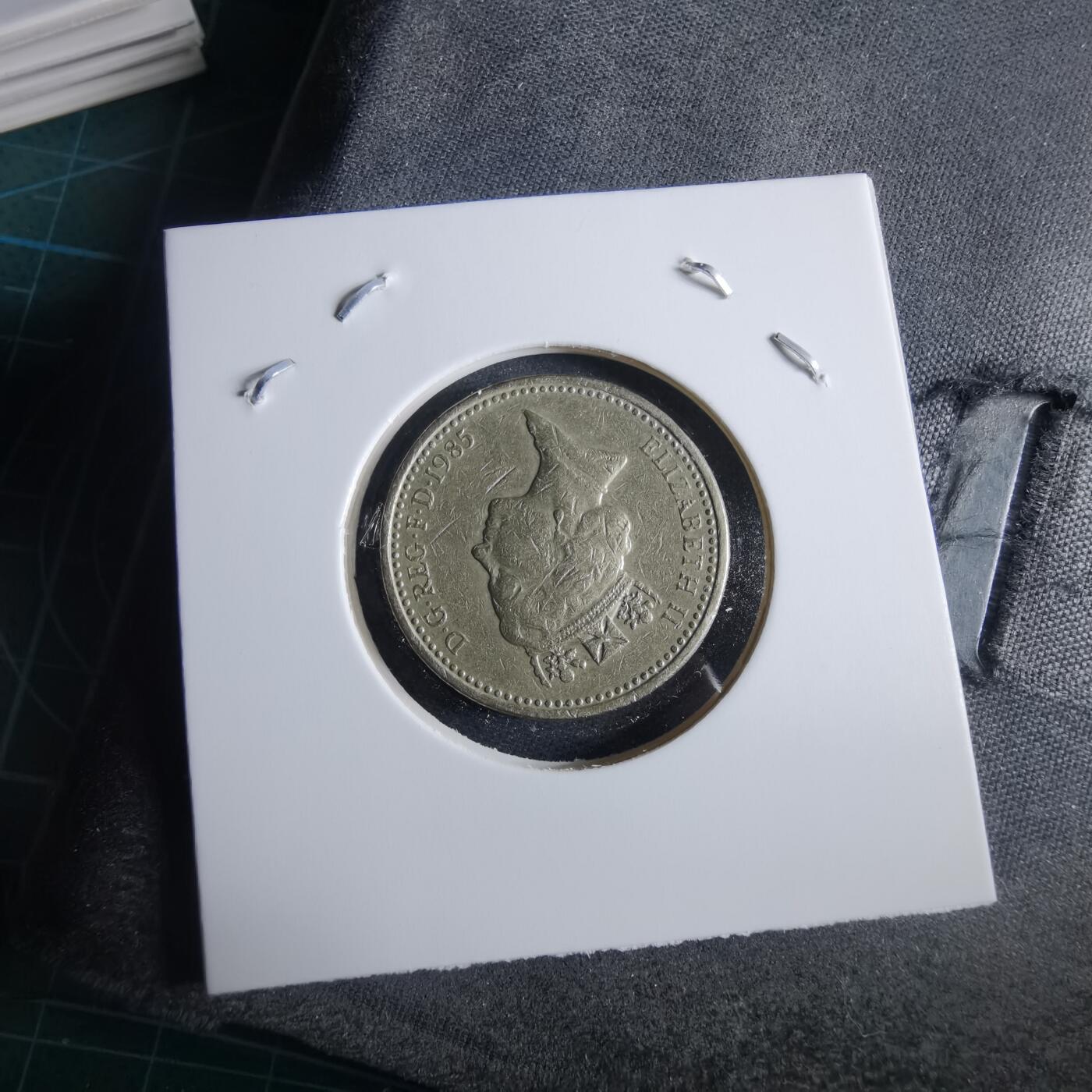 沼泽如烟--第955场