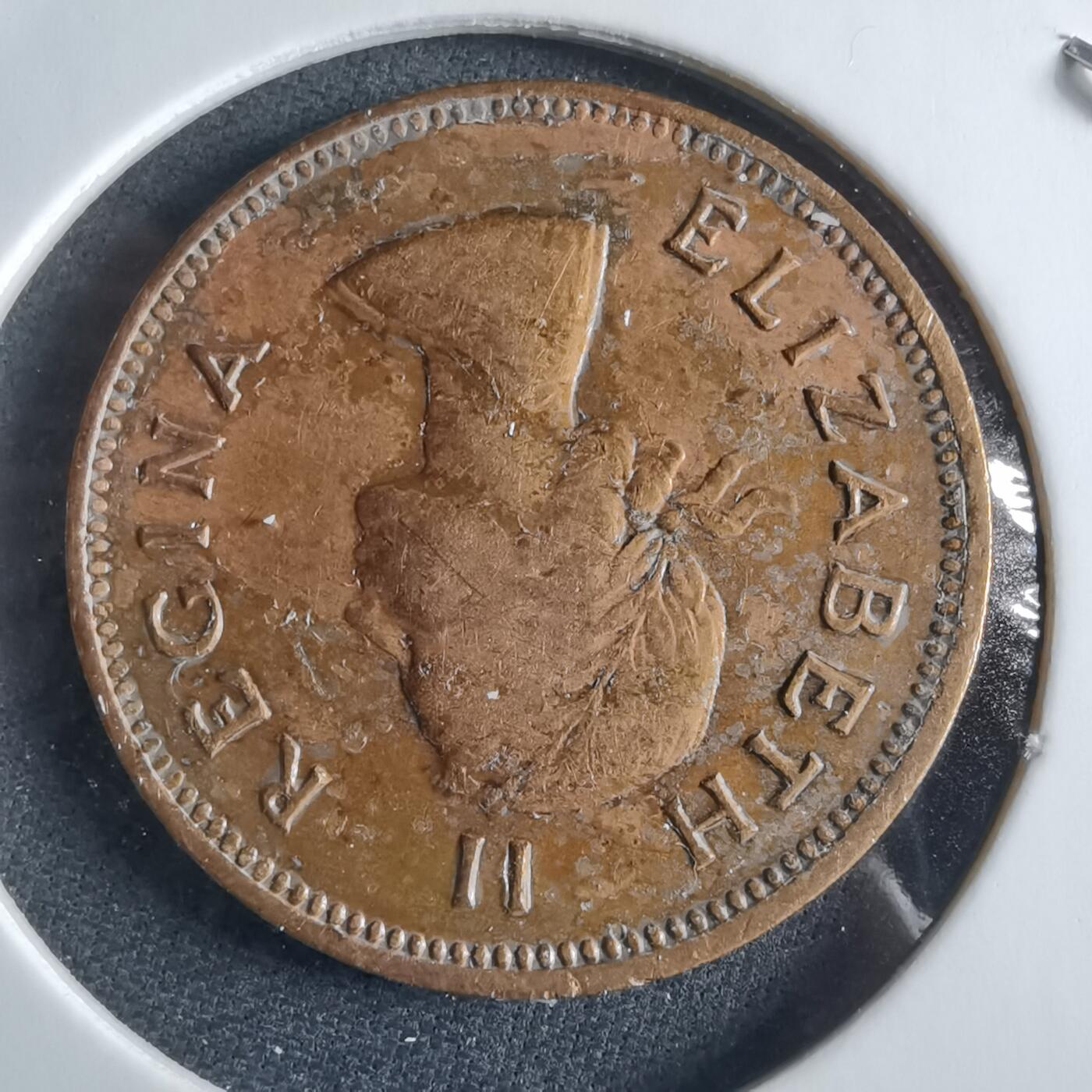 沼泽如烟--第955场