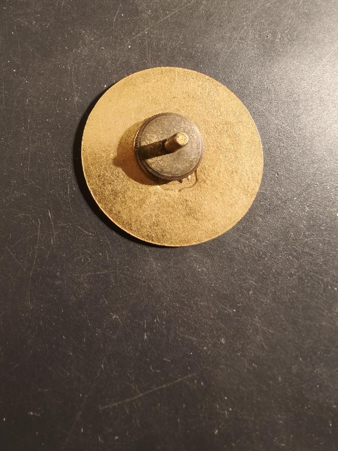 老王徽章第175期 美国陆军大檐帽帽徽   20年代版本