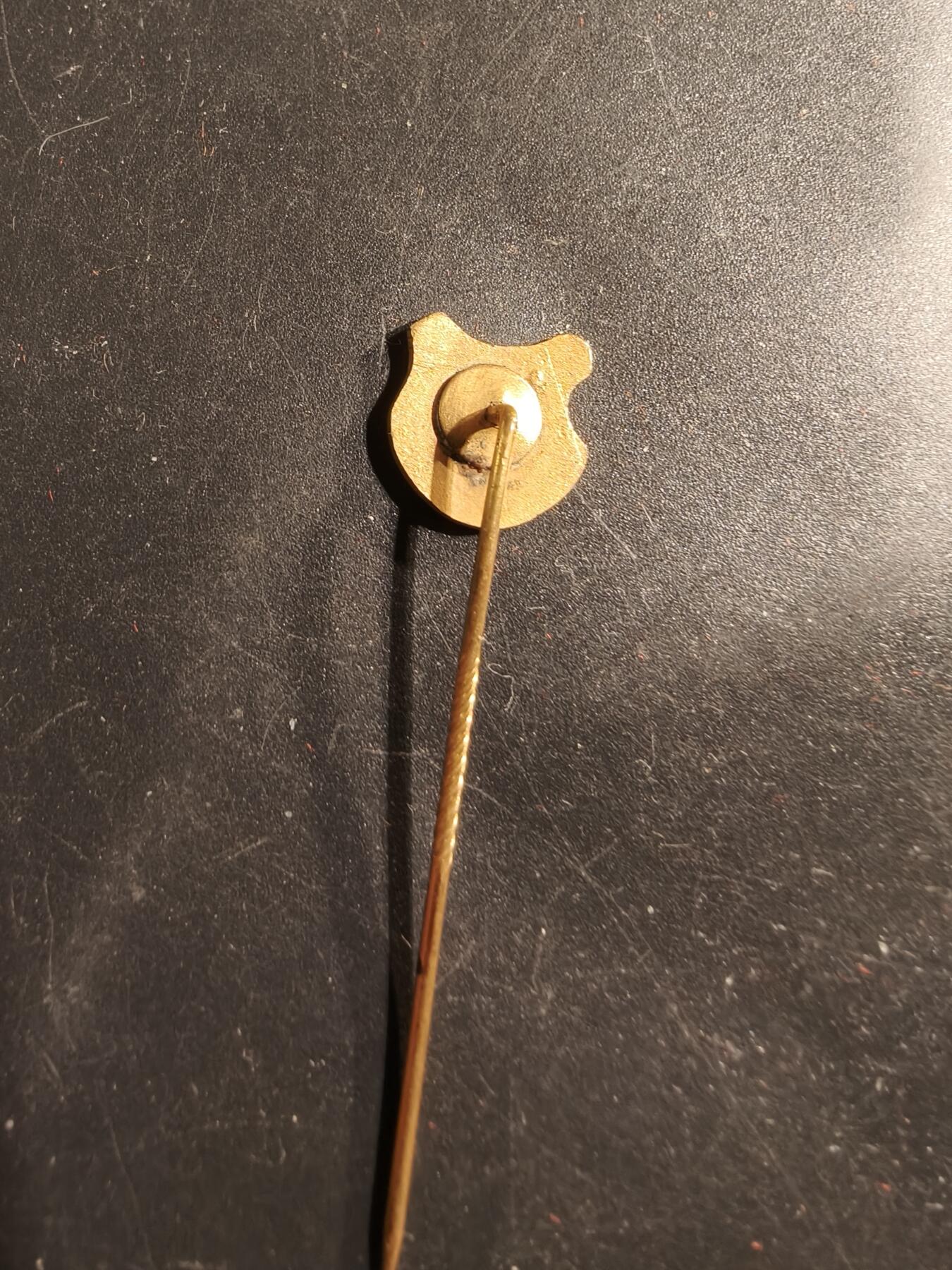 老王徽章第175期 德国凯尔克海姆市针插