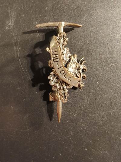 老王徽章第175期 - 德国登山协会证章