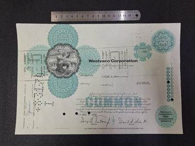 西秦中古拍卖第七十二期 - 美国维斯瓦科公司股票