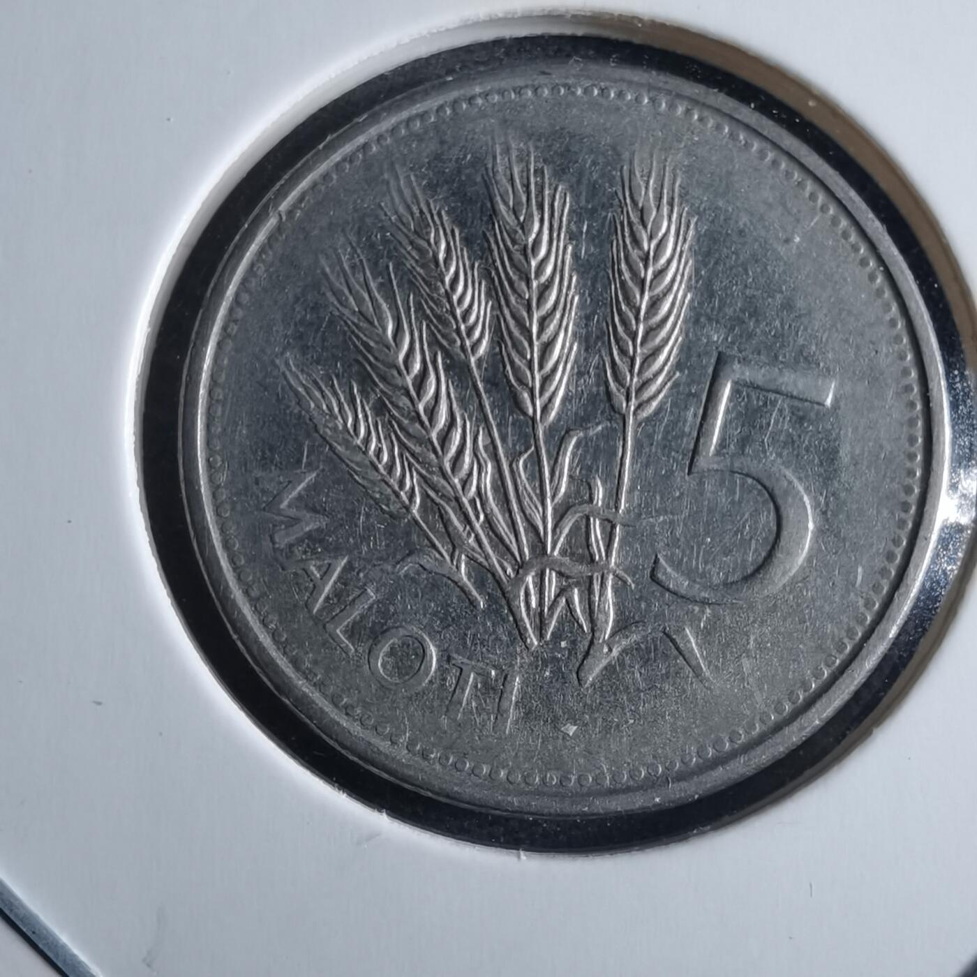 沼泽如烟--第955场