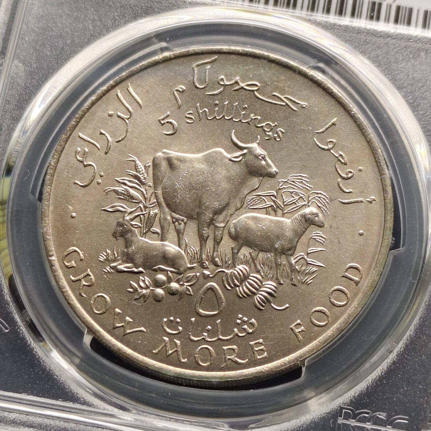 【全场包邮】纯粹捡漏拍493场 【收藏级·亚军分】索马里1970年5先令FAO克朗型纪念币-PCGS MS66