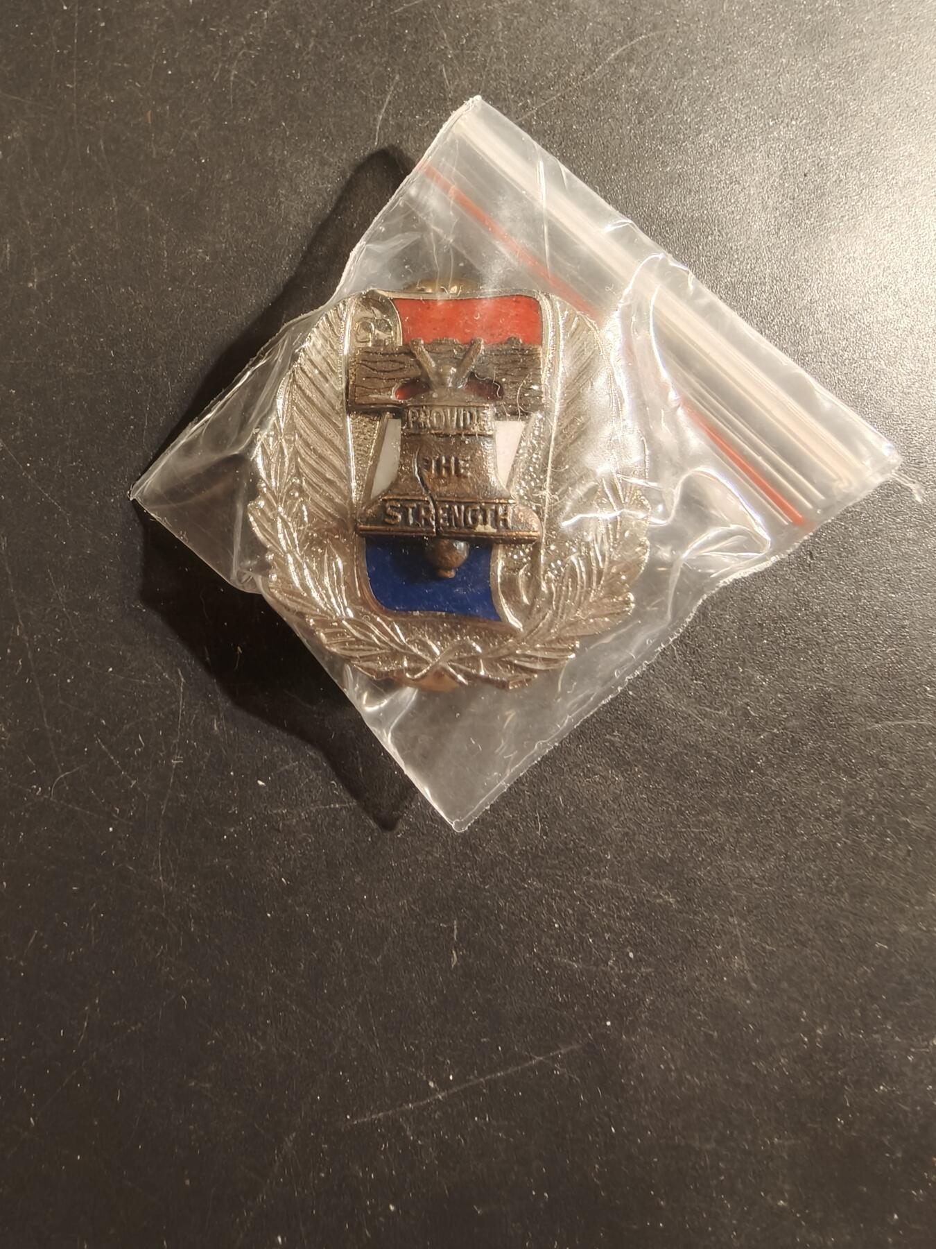 老王徽章第175期 美国陆军招募司令部证章