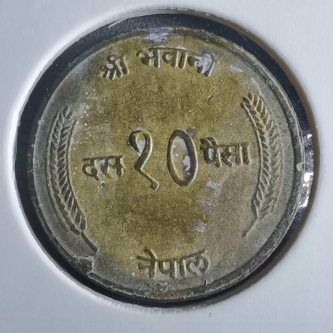 沼泽如烟--第955场