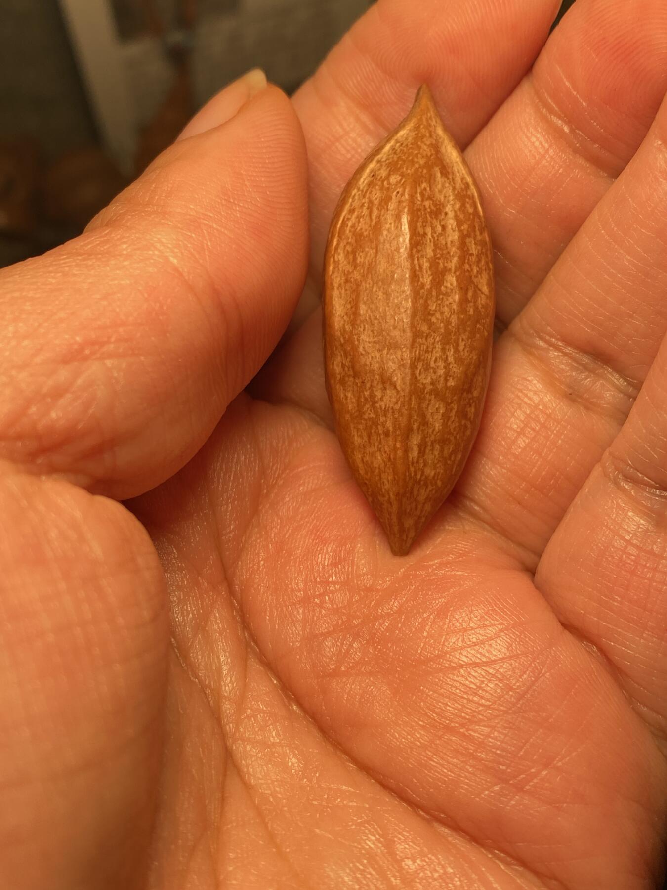 苏工名家王红秋个人作品展示 苏工核雕纯手工雕刻，超长二花瑞龙单籽，个性十足，市场无同款，尺寸1。7x4.88喜欢的来