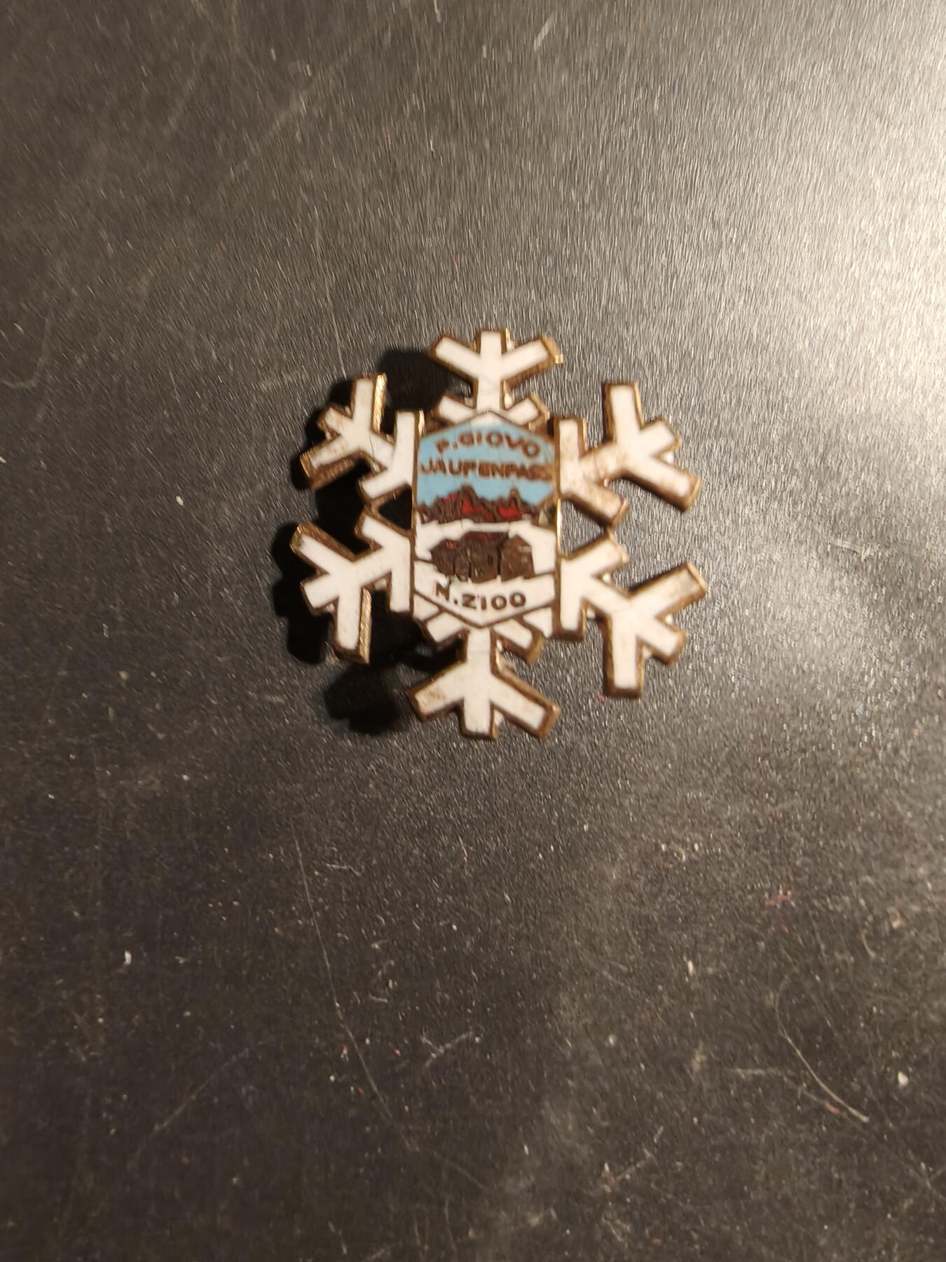 老王徽章第175期 德国登山协会证章