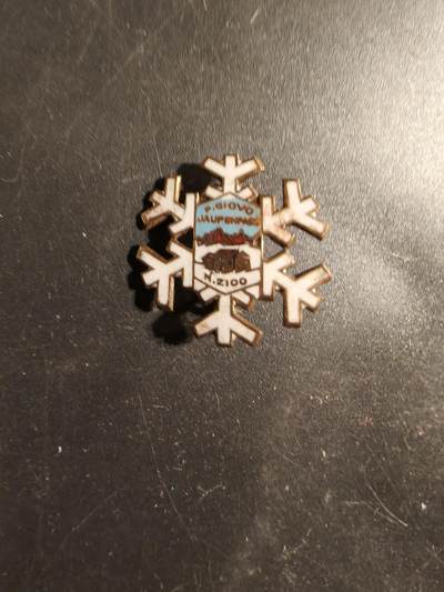 老王徽章第175期 - 德国登山协会证章