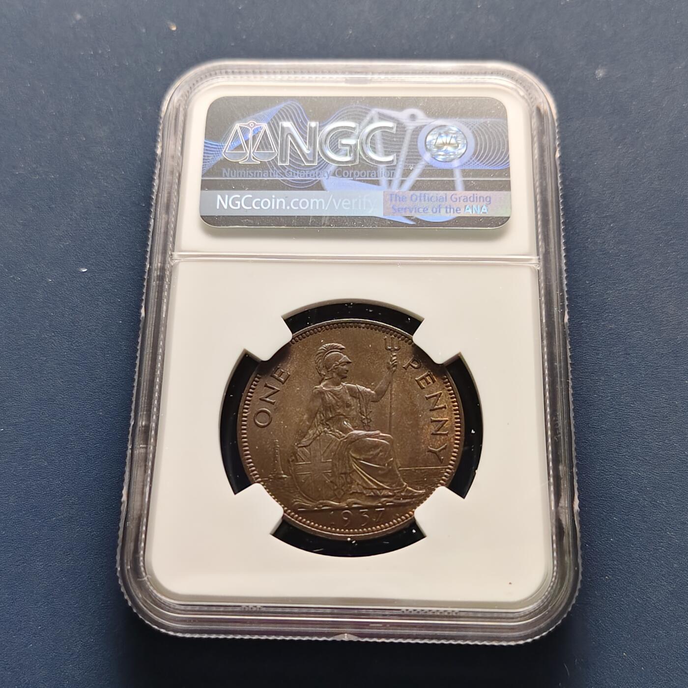 【全场包邮】纯粹捡漏拍493场