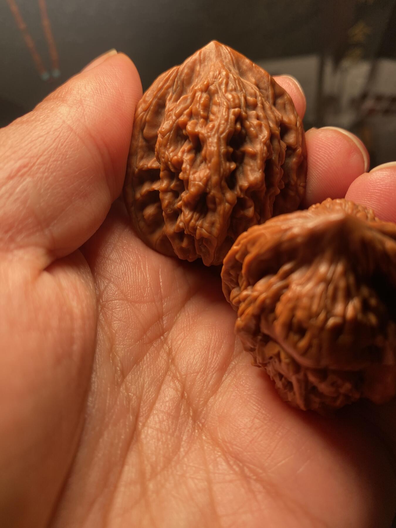 苏工名家王红秋个人作品展示 福利苏工核雕，纯手工核桃雕刻南极仙翁一对个性十足，等待有缘人，市场无同款，尺寸3。7喜欢的来