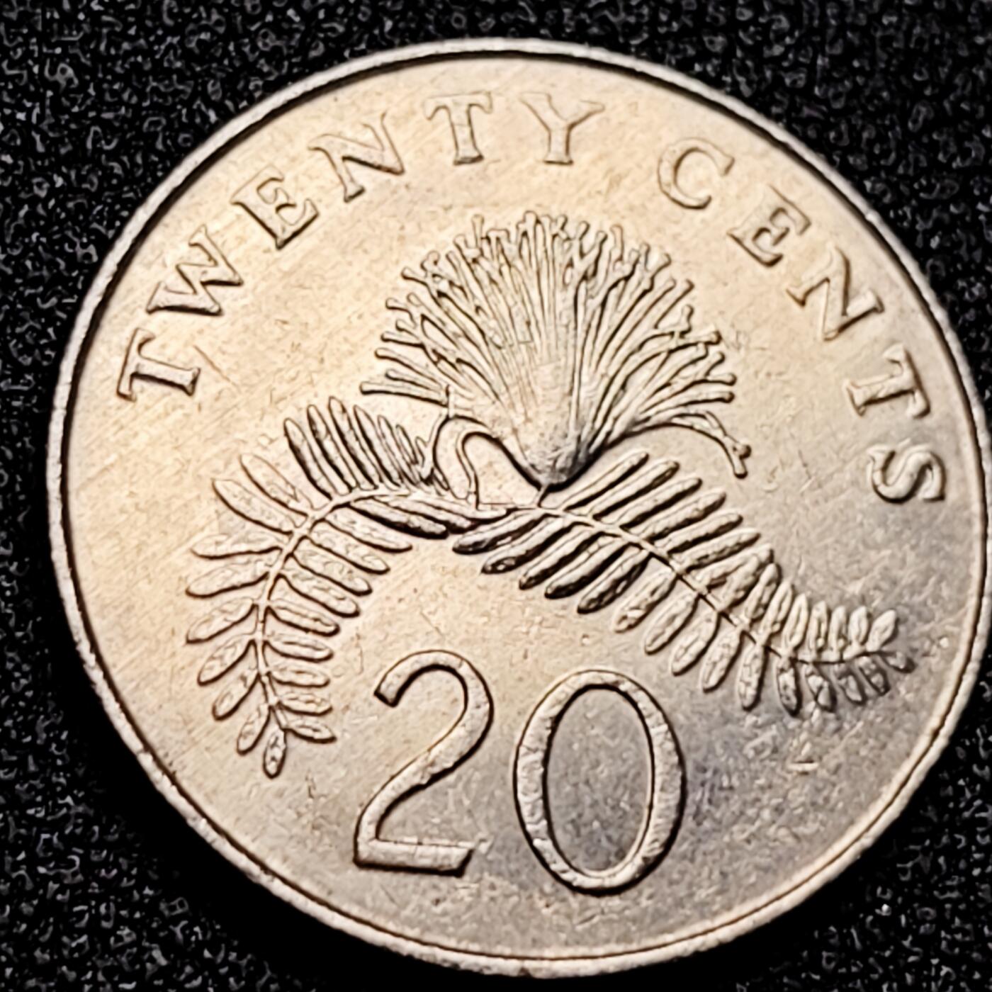 泉币菌-第167场- 精品福利场 。