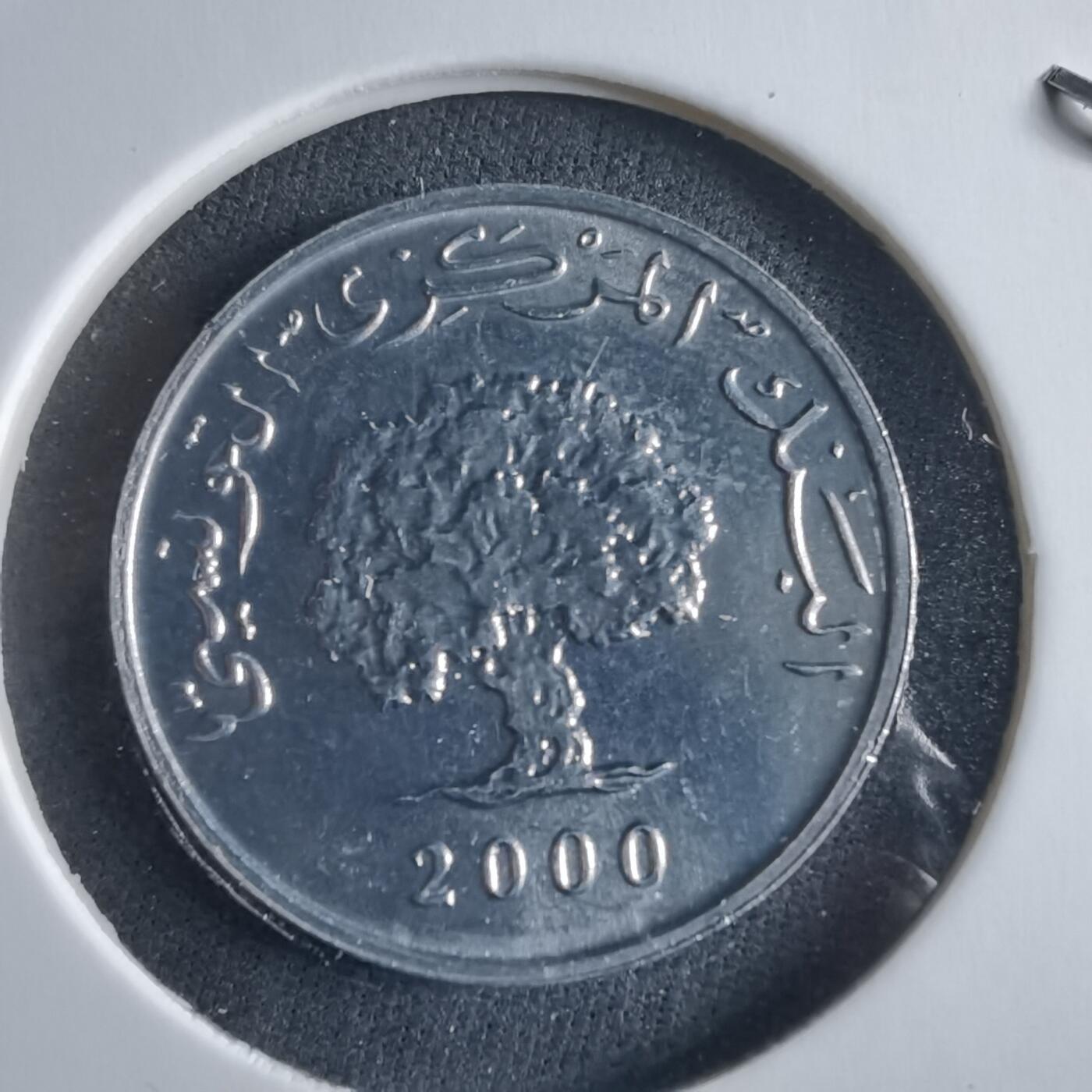 沼泽如烟--第955场 突尼斯2000年1米利姆FAO