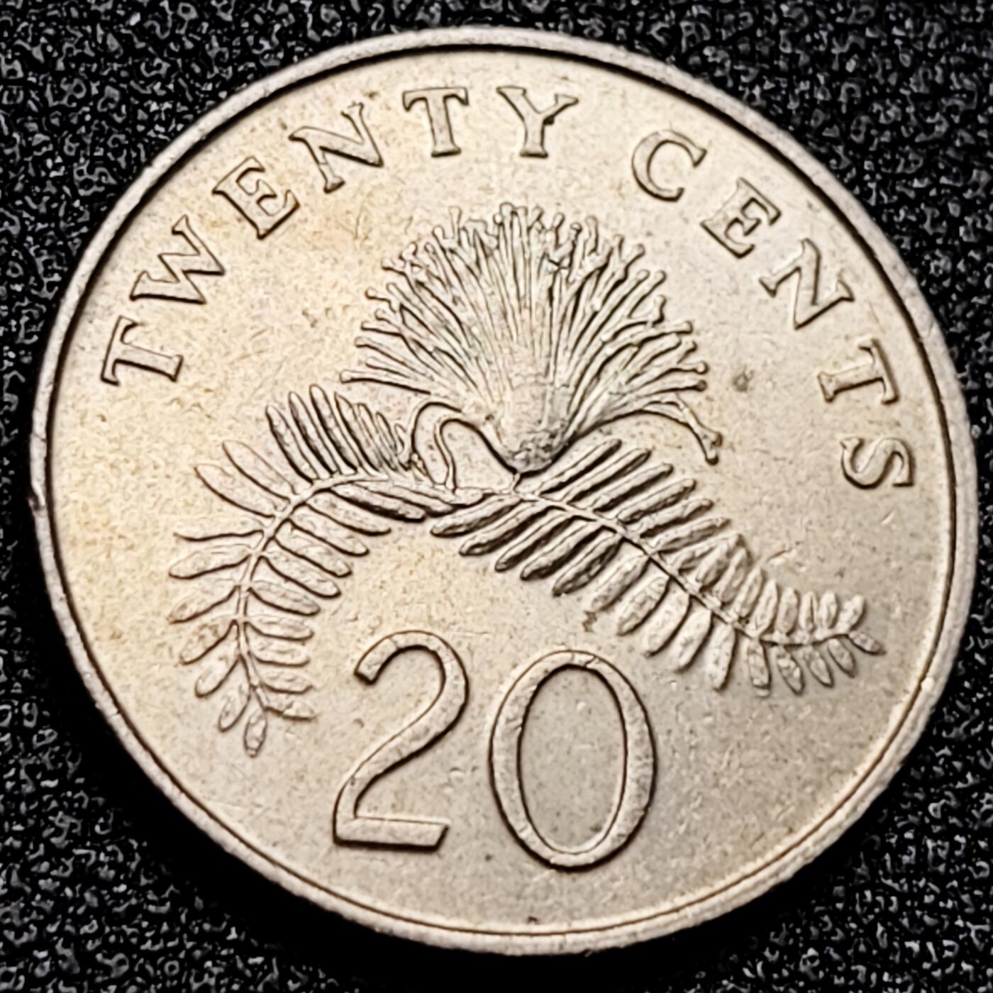 泉币菌-第167场- 精品福利场 。