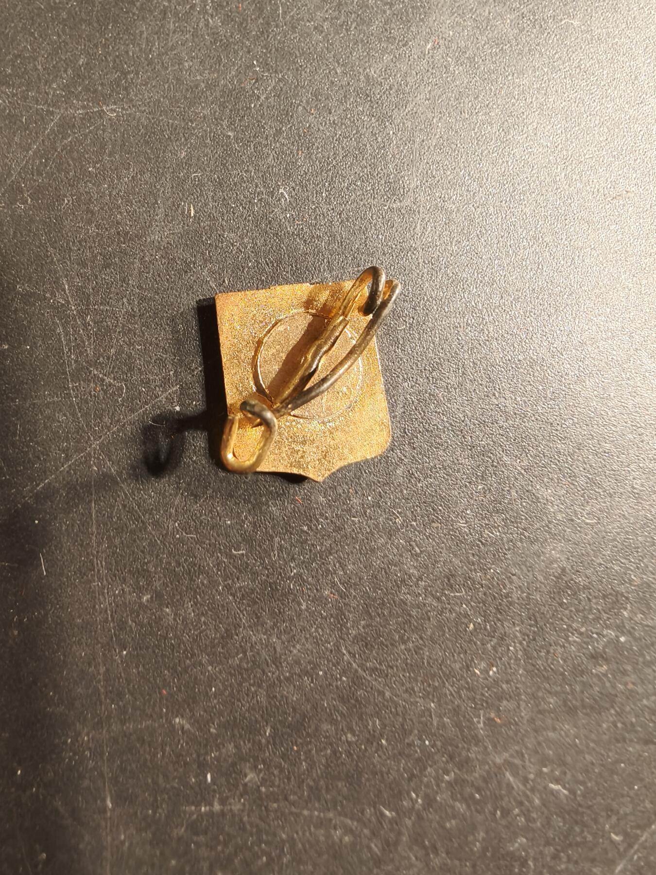 老王徽章第175期 瑞士卢塞恩市证章