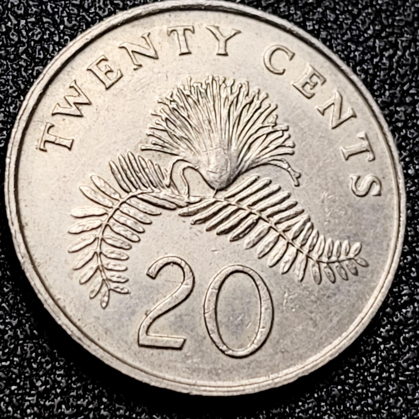 泉币菌-第167场- 精品福利场 。