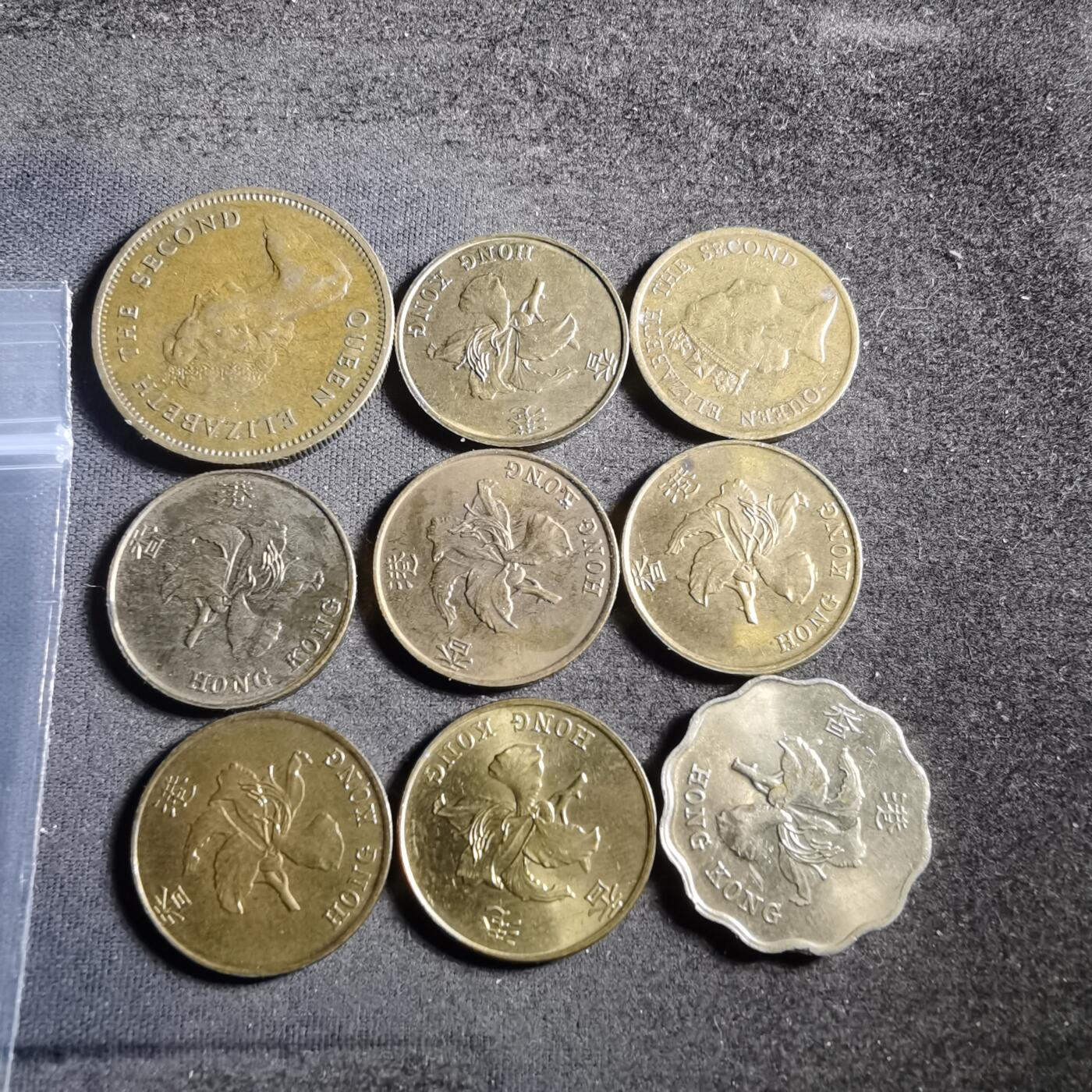 沼泽如烟--第955场 香港九枚