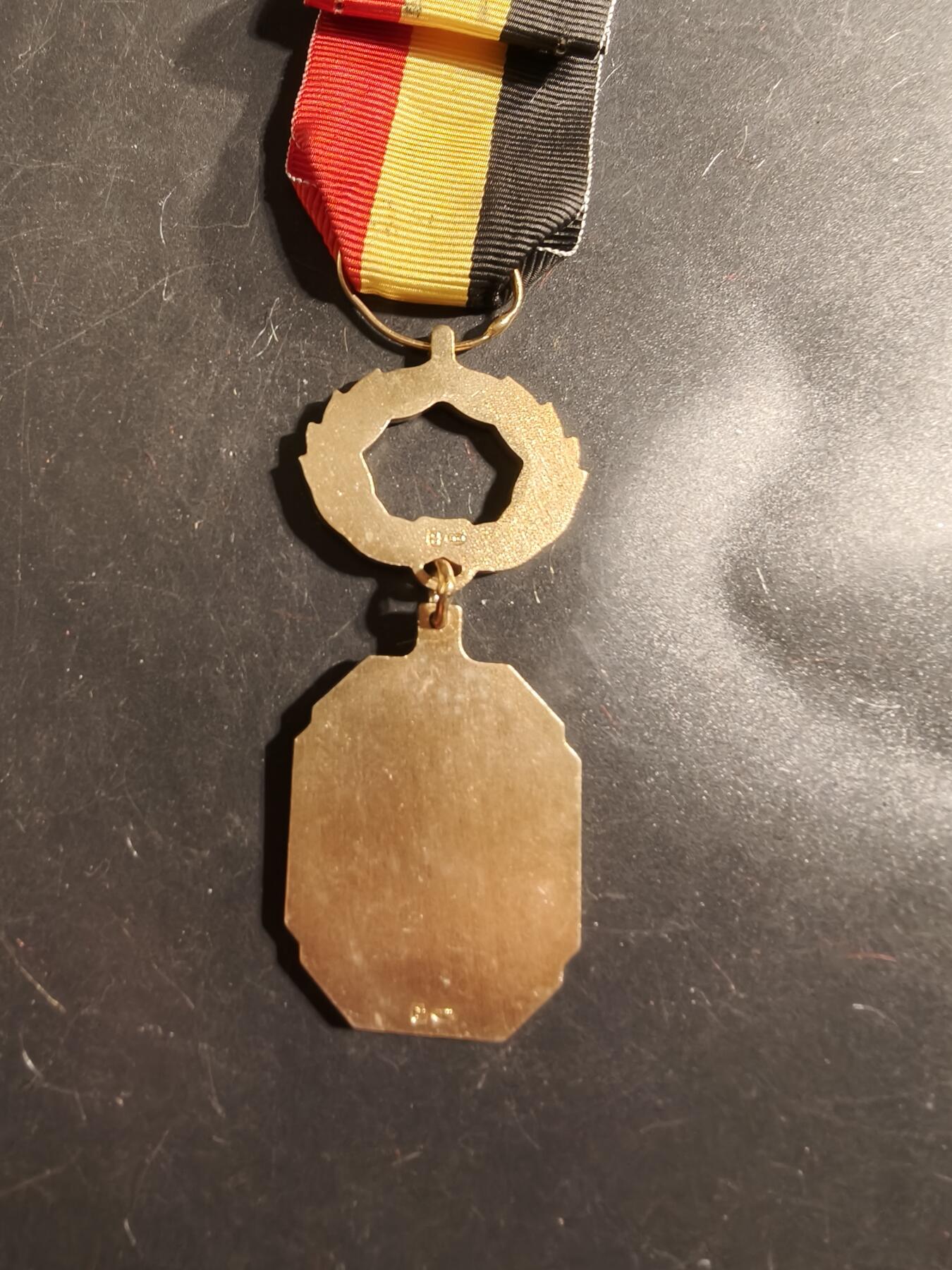 老王徽章第175期 比利时音乐联合会荣誉退伍军人纪念章    带厂标     授予对象为长期服务于音乐协会的退伍军人/成员