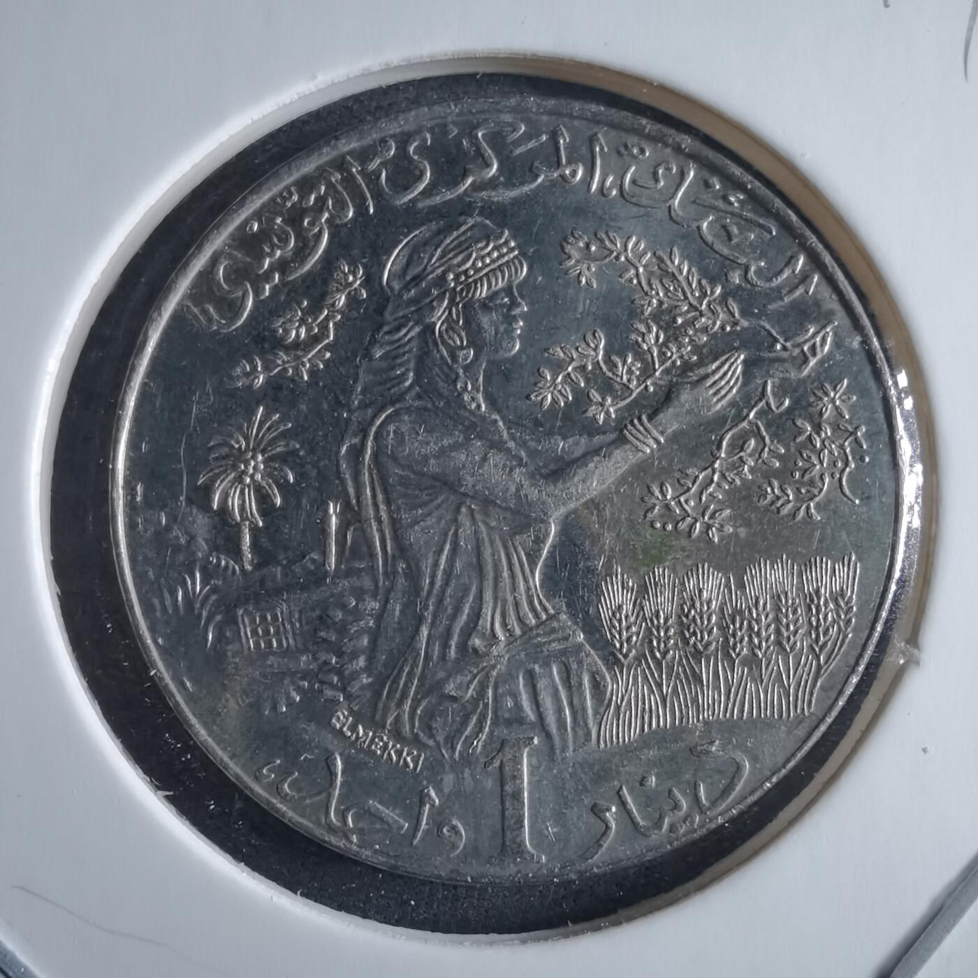 沼泽如烟--第955场