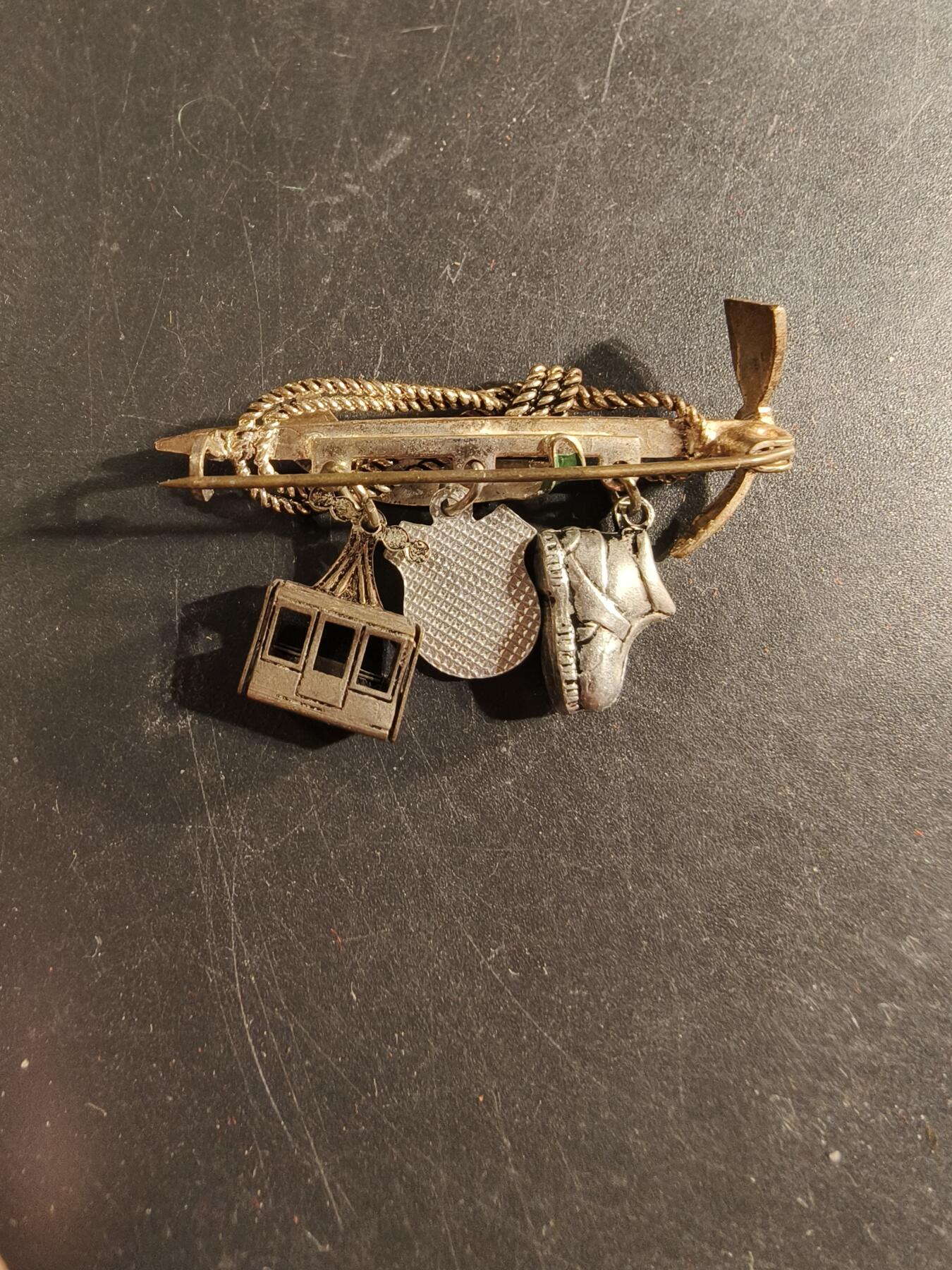 老王徽章第175期 奥地利登山协会证章