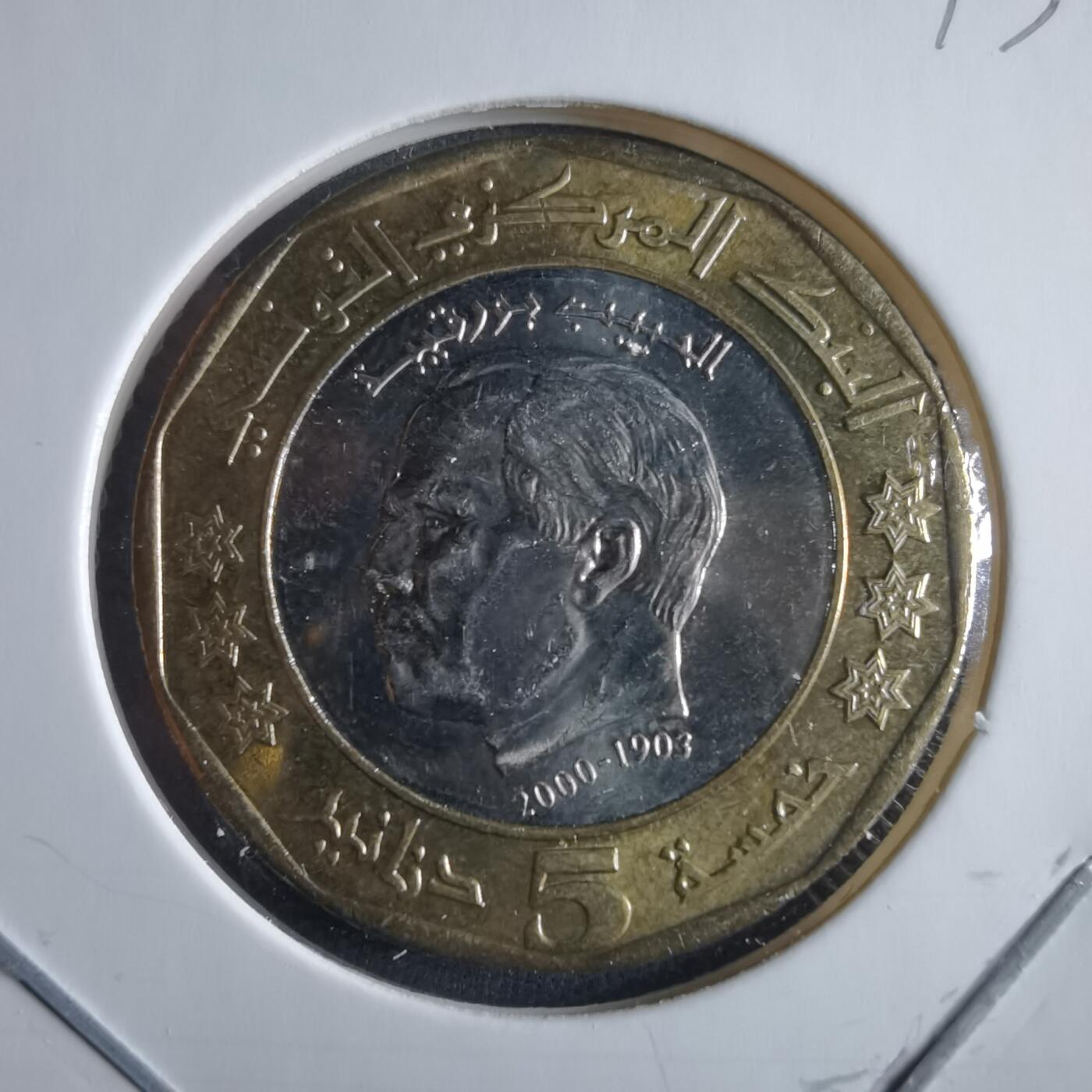 沼泽如烟--第955场