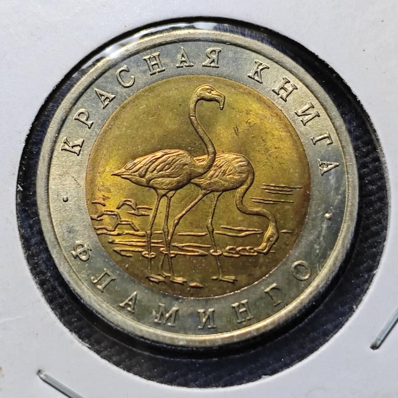 KK钱币收藏小铺  第399期  百期特拍（四拍之三）2月预留时间 周末发货