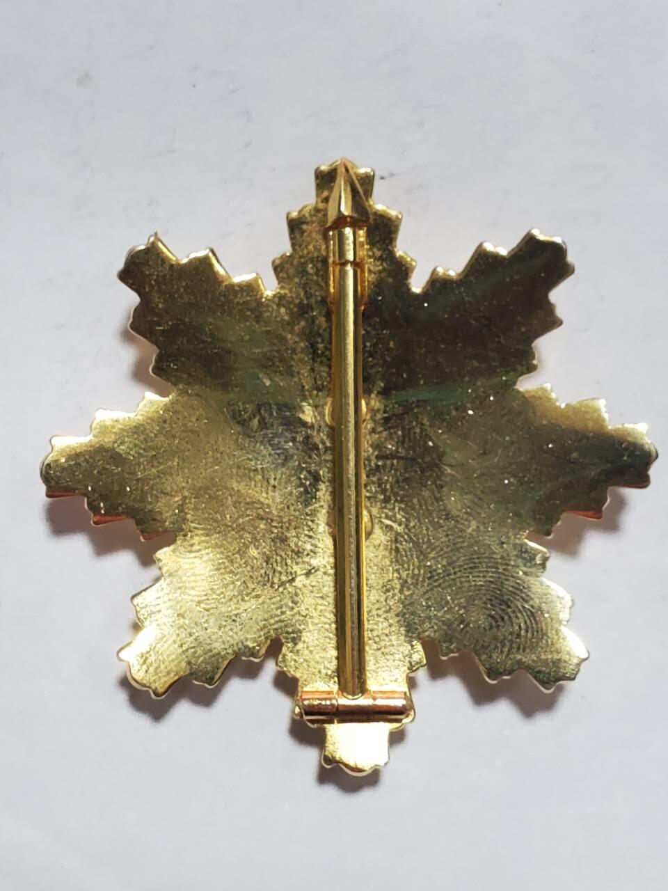 韵星假日拍卖第三十六期 -- Rimey Holidays Auction 36 泰王国皇家海军军官院校进修奖章 将官级别 经典星芒设计 铜镀金 品相非常好 镀金完美