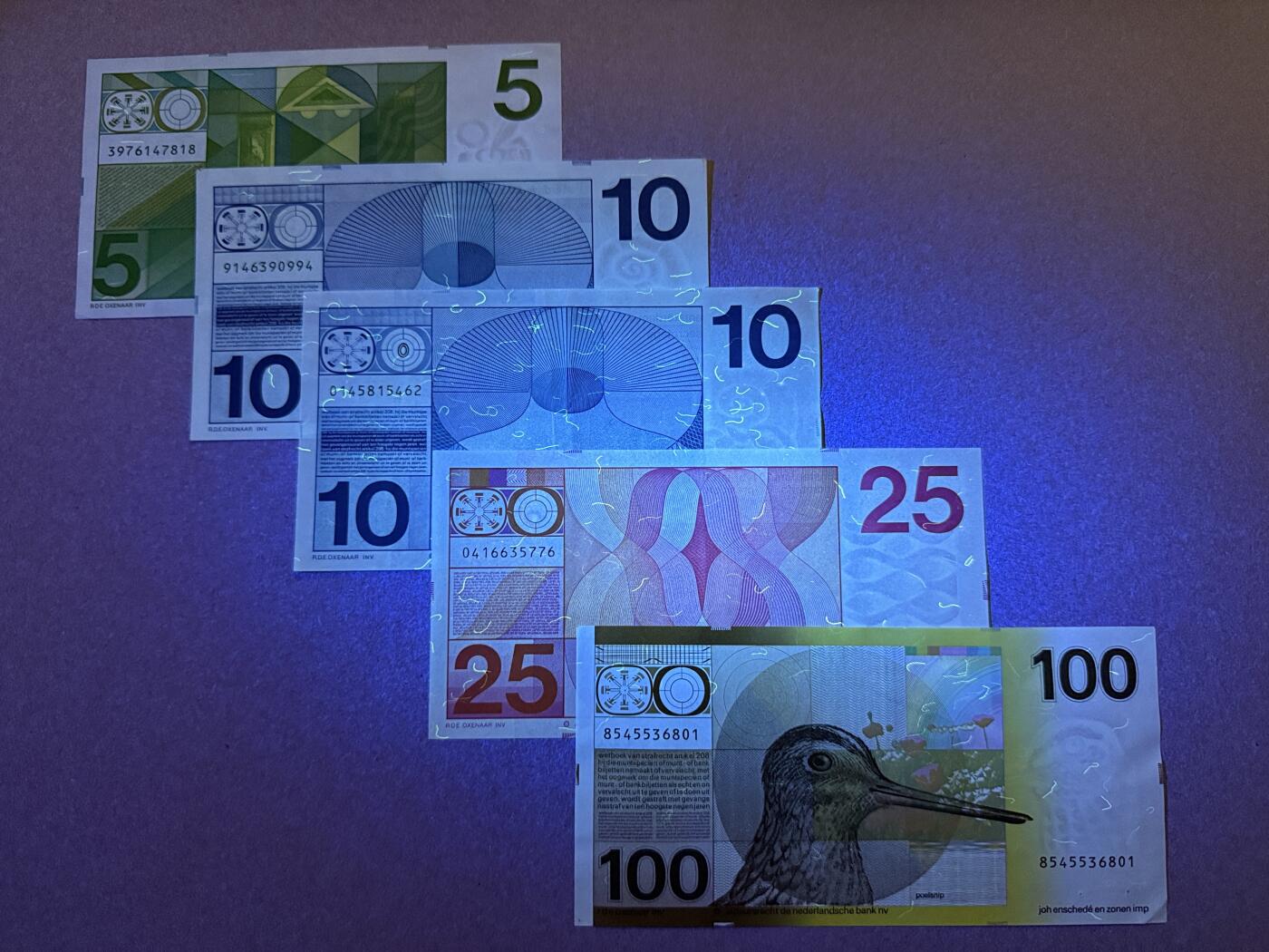 《艾美收藏》第228期-1.11周日外币精品 荷兰盾5张 AU 人像版和水鸟 有张10盾为初版牛眼版