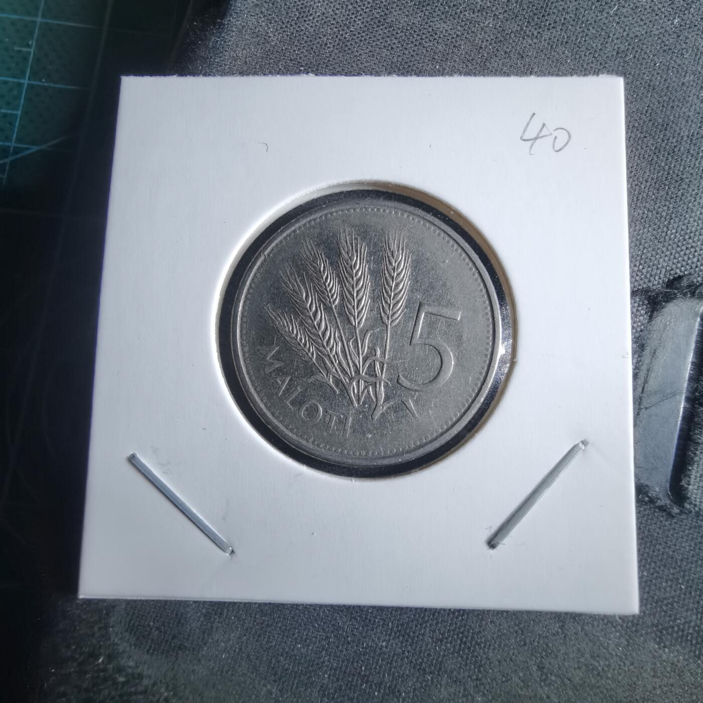 沼泽如烟--第955场