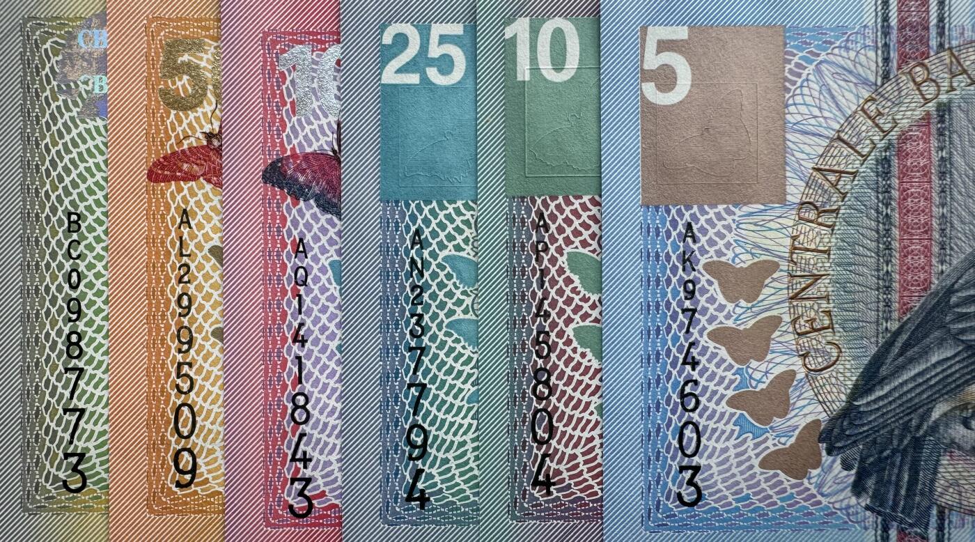 2026第1场（总第228期）：精品测试钞、外钞、塑料钞、连体钞综合场 苏里南鸟版5、10、25、100、500、1000元小全套6枚UNC