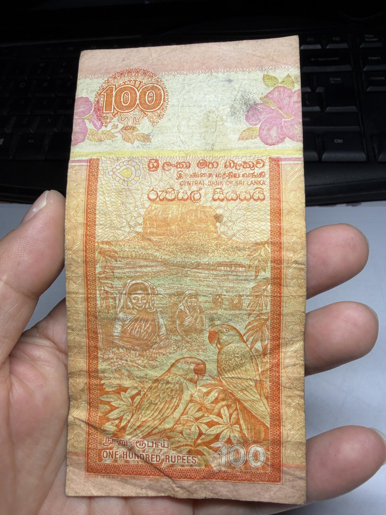 2026年集古藏今外币拍卖第一期-第3场—（总第300拍-纸币专场），本期拍完结算一次，发货时间2-3天，休息几天后继续新的一期拍卖。 2005年斯里兰卡100卢比