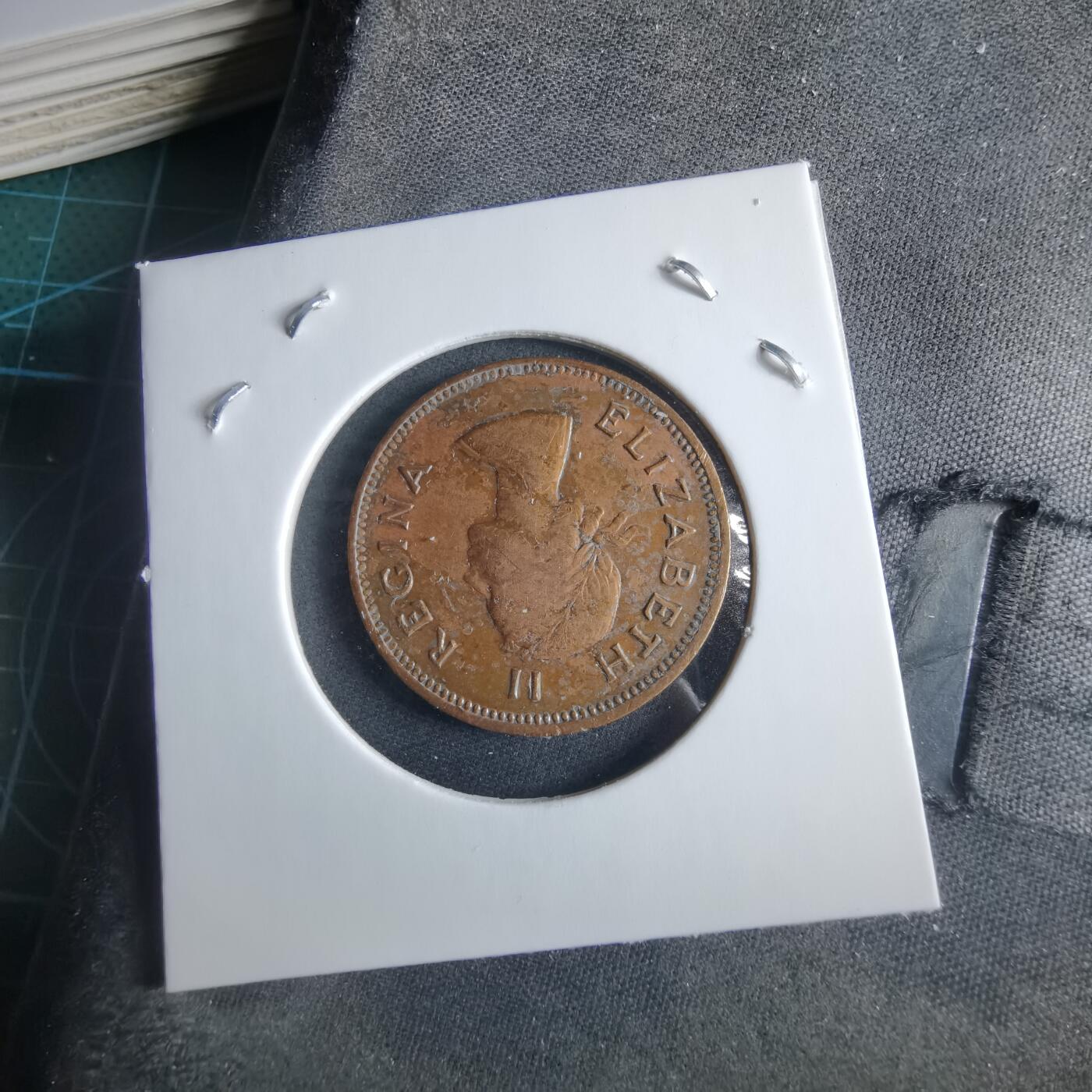 沼泽如烟--第955场