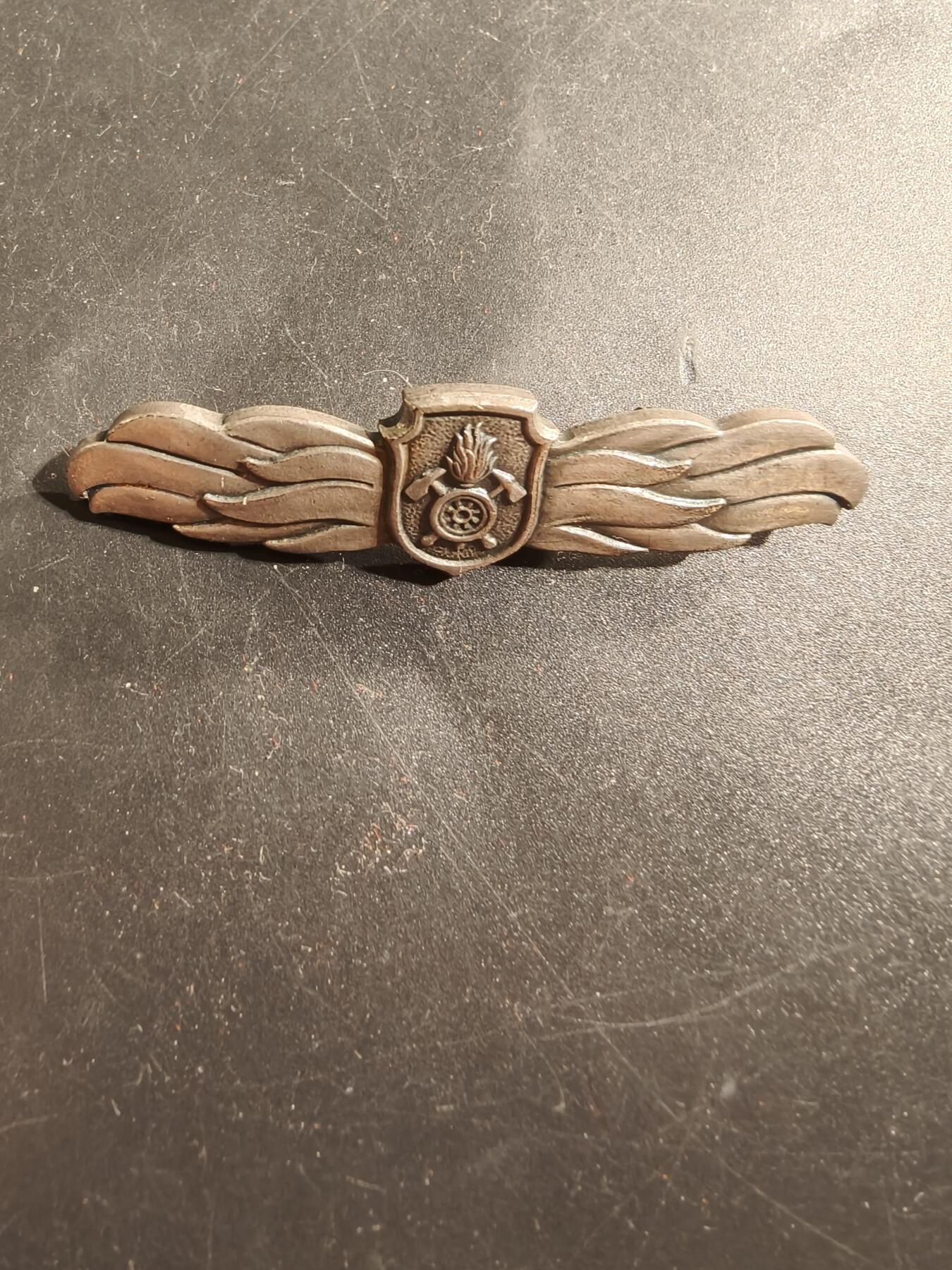 老王徽章第175期 德国巴伐利亚州青年消防服务证章