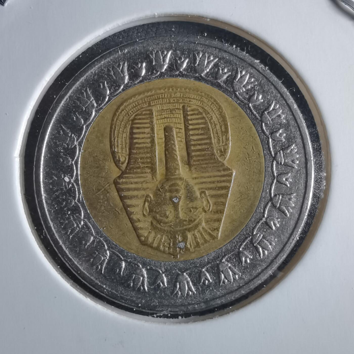 沼泽如烟--第955场