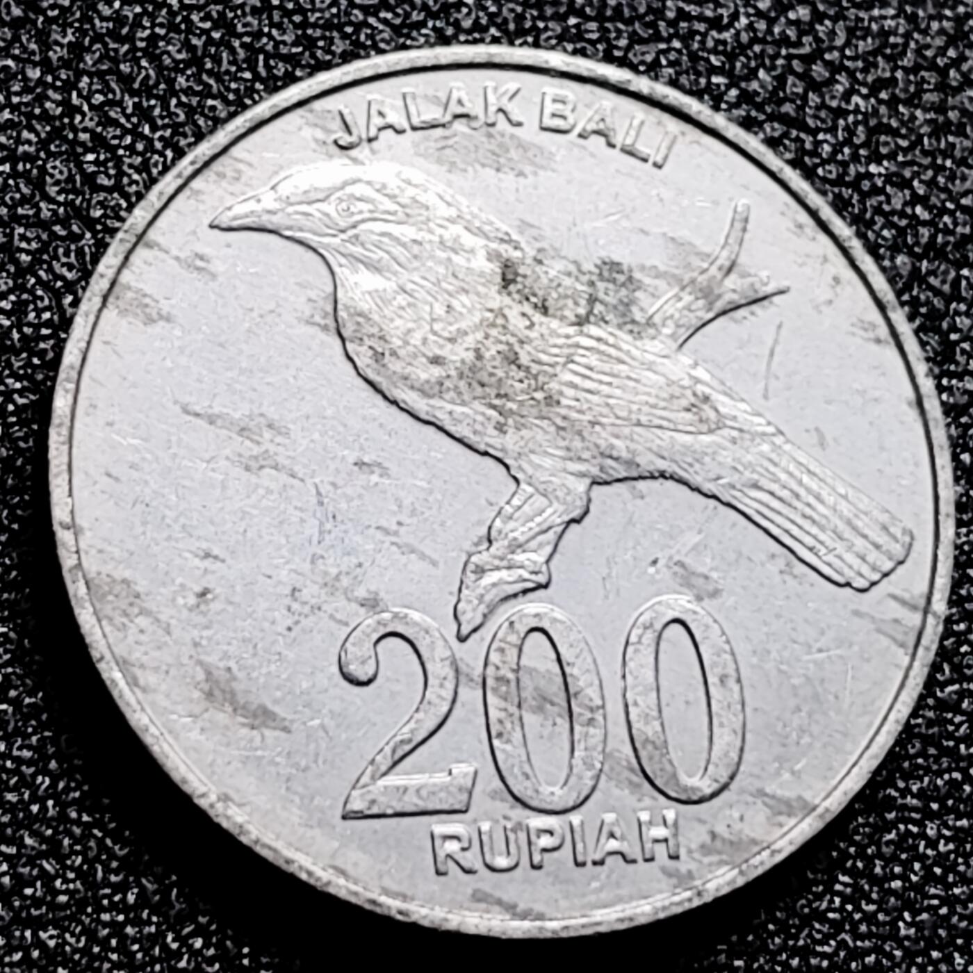 泉币菌-第167场- 精品福利场 。