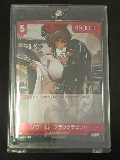 【游宝包邮场】蛇年第106期 纸钞硬币卡牌综合场[二] - NIKKE 黑兔