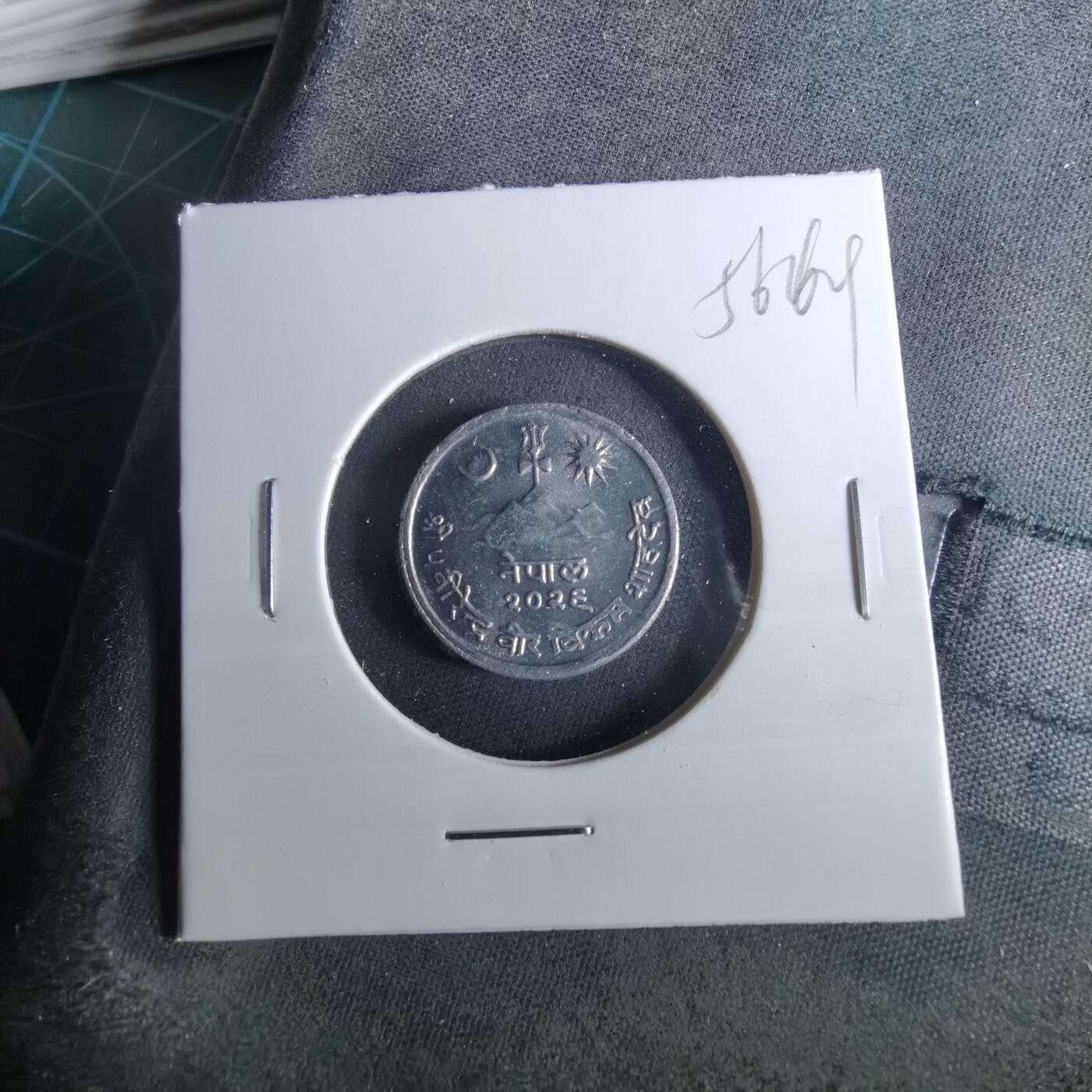 沼泽如烟--第956场