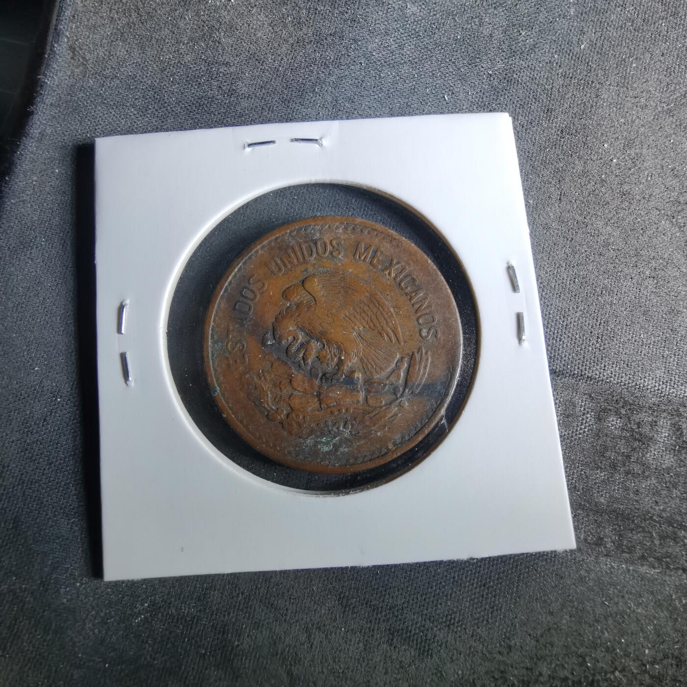 沼泽如烟--第956场