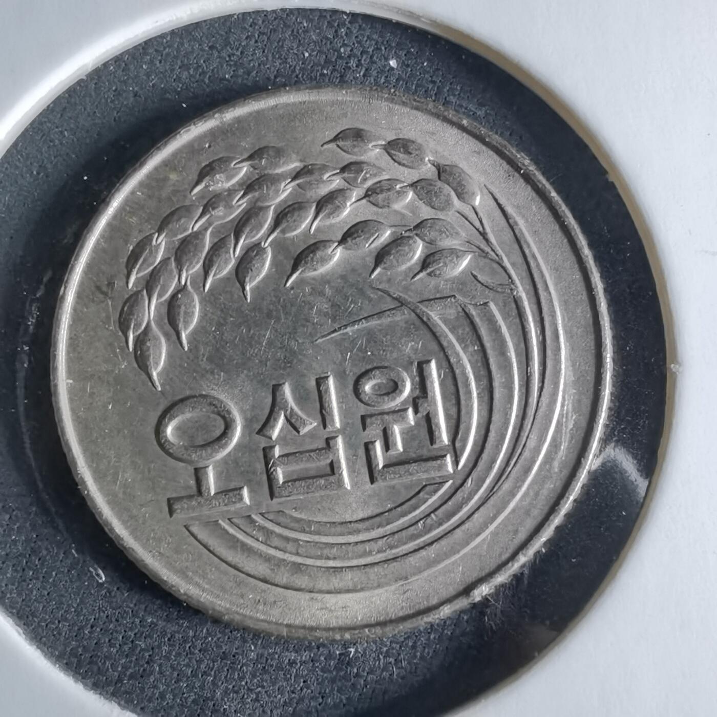 沼泽如烟--第956场