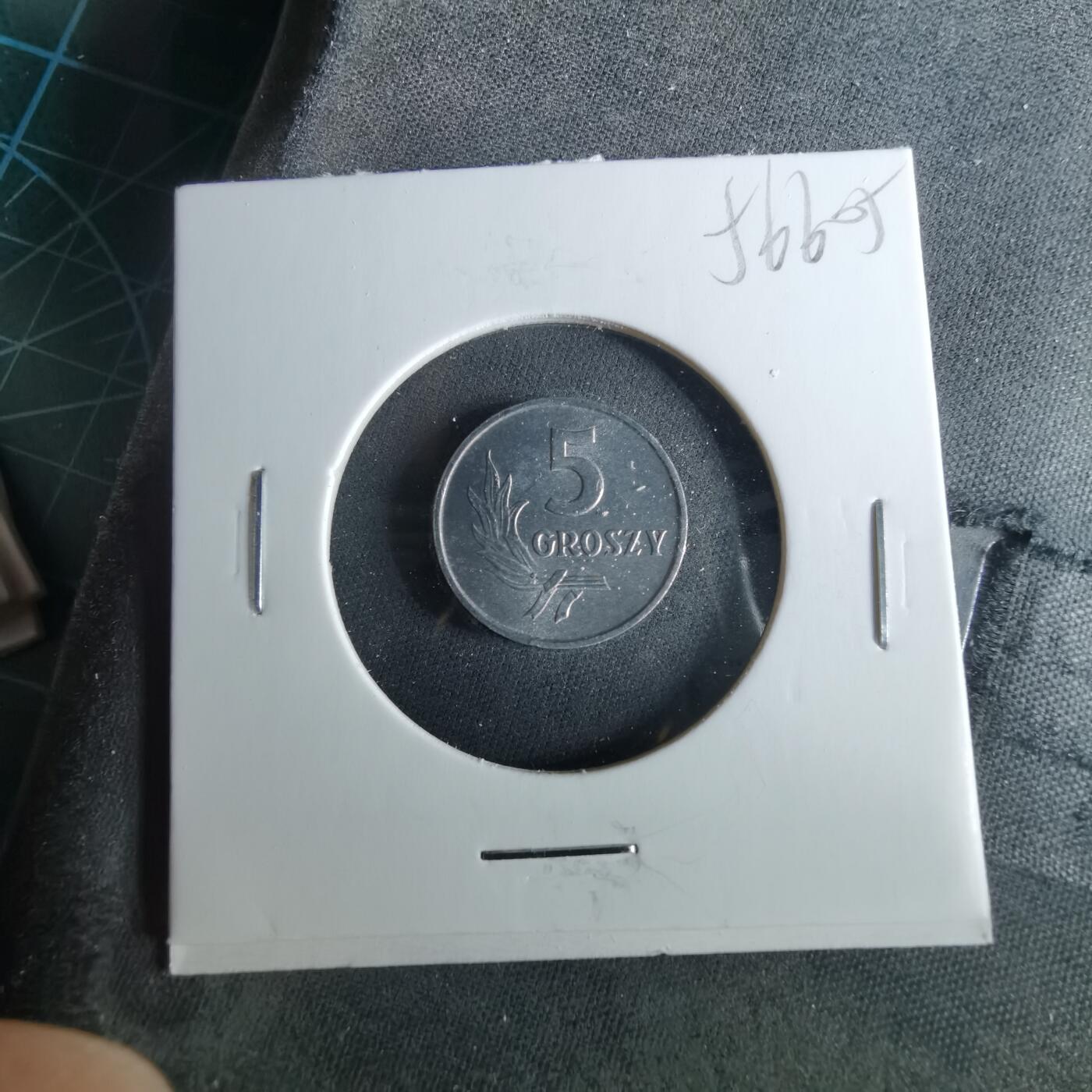 沼泽如烟--第956场