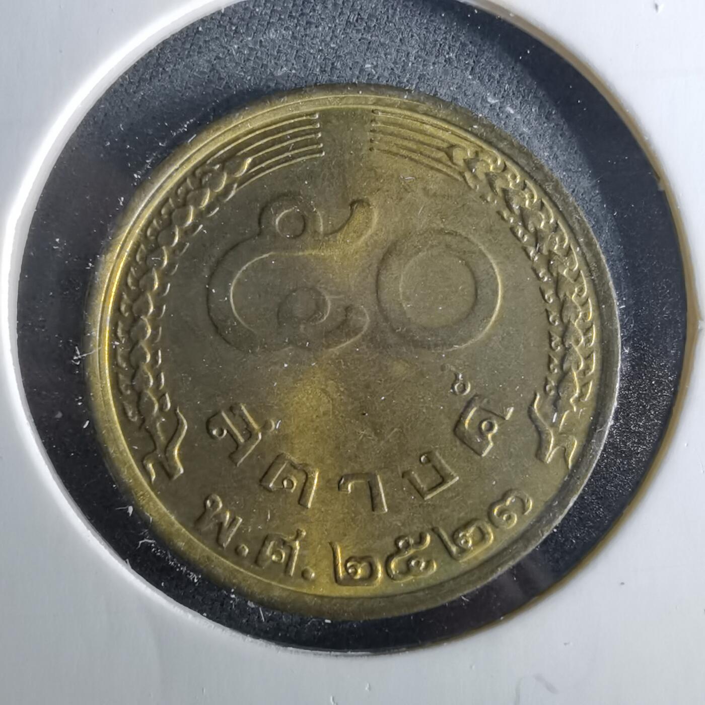 沼泽如烟--第956场 泰国