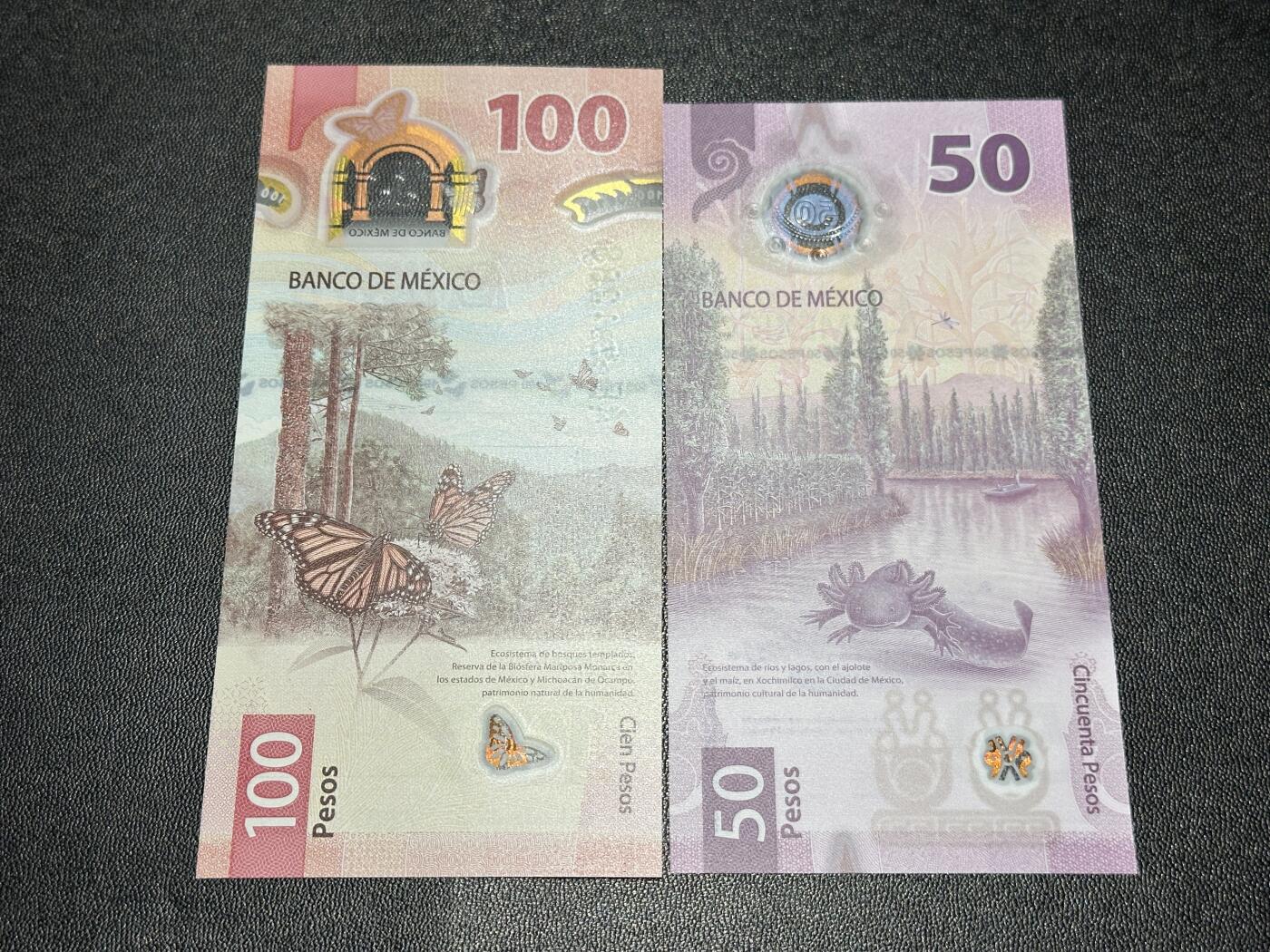 《外钞收藏家》第六百零一期（畅拍场）（本平台长期征集拍品、欢迎藏友们联系合作） 墨西哥新版50比索（AA字冠）+100比索一对（都是IBNS世界最佳，全程无4）	绝品