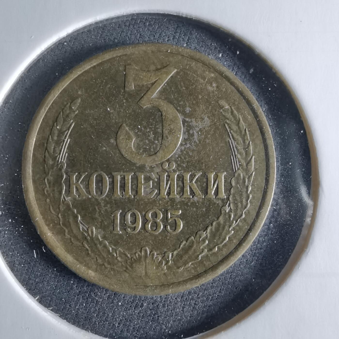 沼泽如烟--第956场