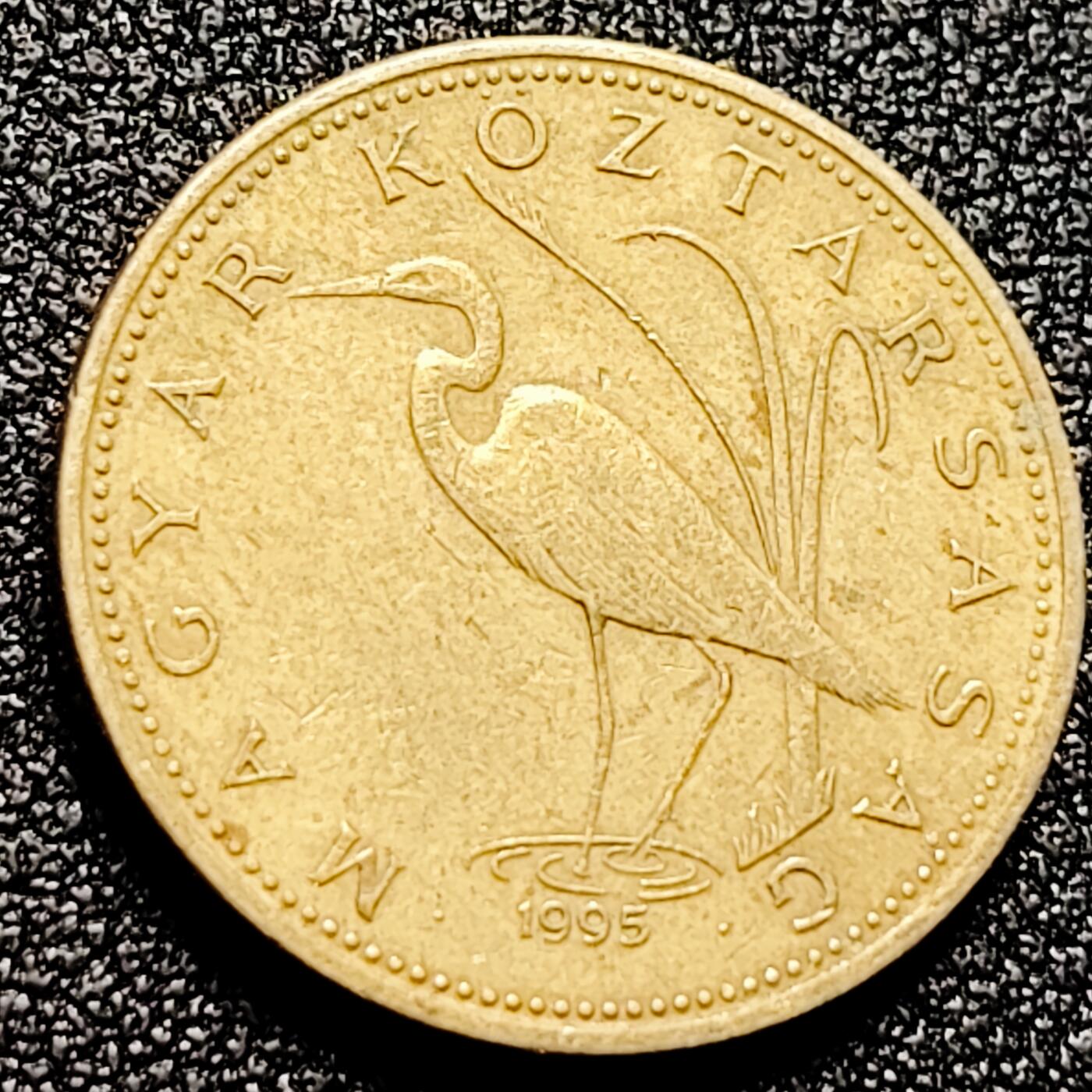 泉币菌-第167场- 精品福利场 。