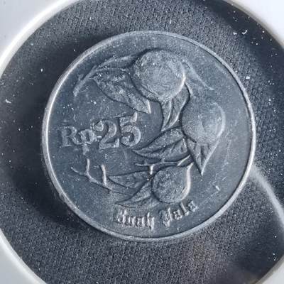 沼泽如烟--第956场 - 印度尼西亚1995年25卢比