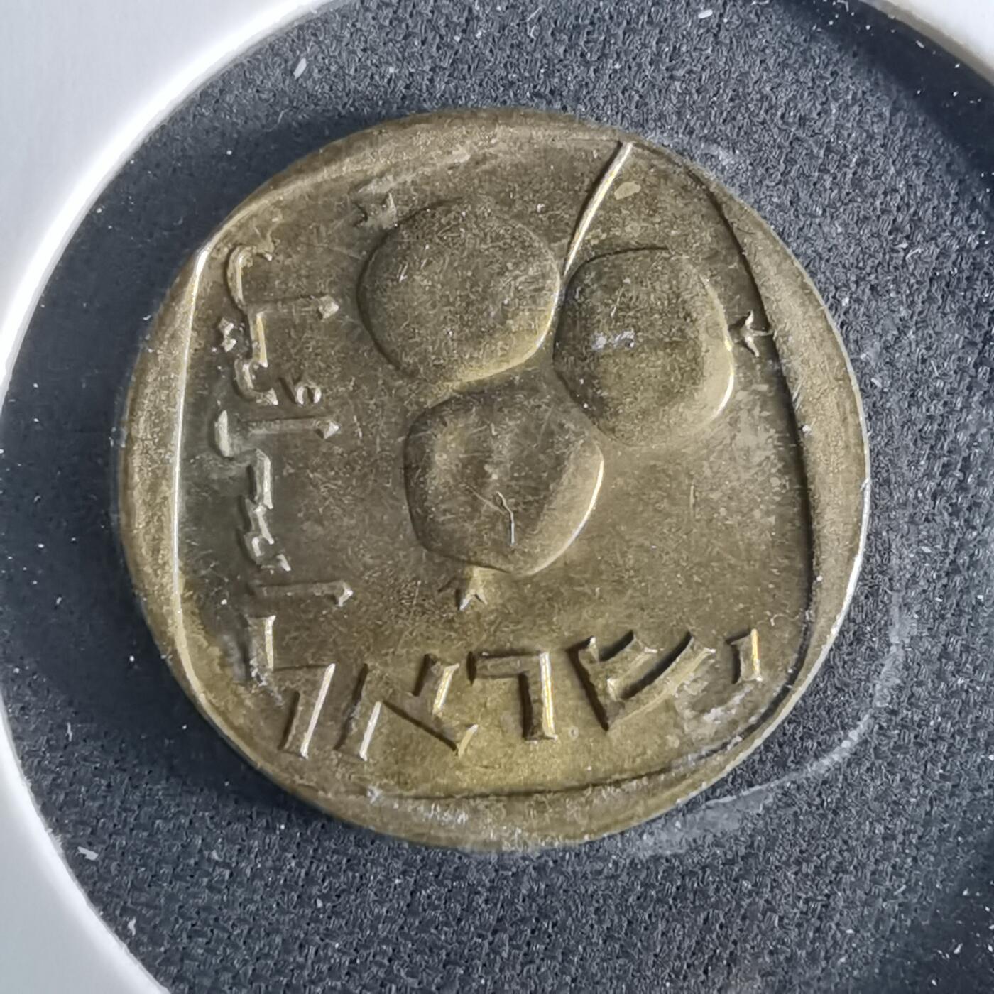 沼泽如烟--第956场