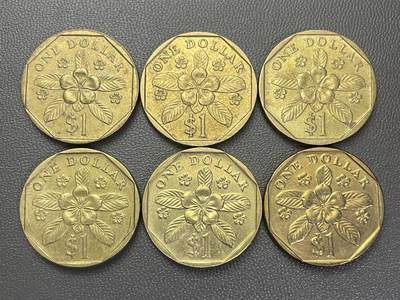 回流0110 - 新加坡不同年份1元6枚