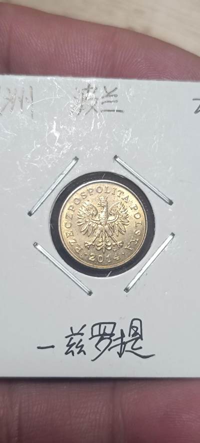 万国钱币第三场 - 波兰1兹罗提