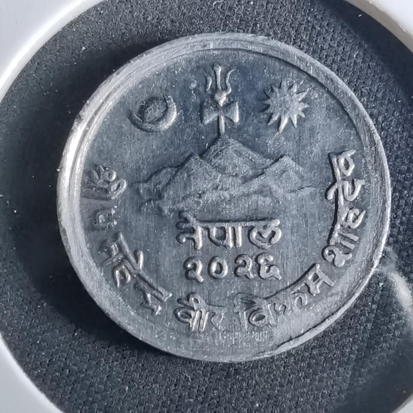 沼泽如烟--第956场